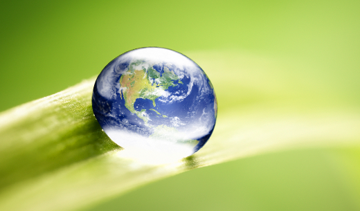 Globe water droplet on leaf